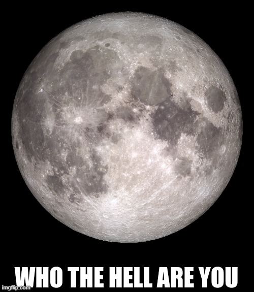 who the hell are you | image tagged in who the hell are you | made w/ Imgflip meme maker