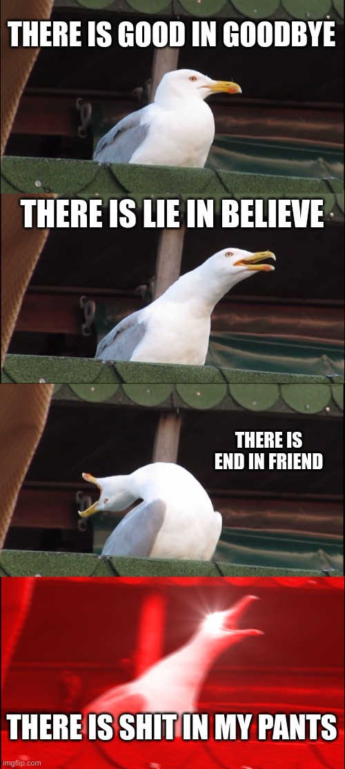 Inhaling Seagull | THERE IS GOOD IN GOODBYE; THERE IS LIE IN BELIEVE; THERE IS END IN FRIEND; THERE IS SHIT IN MY PANTS | image tagged in memes,inhaling seagull | made w/ Imgflip meme maker