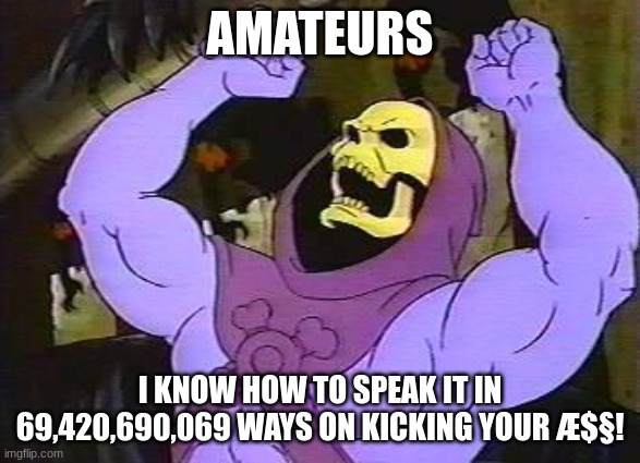 You Fool Skeletor | AMATEURS I KNOW HOW TO SPEAK IT IN 69,420,690,069 WAYS ON KICKING YOUR Æ$§! | image tagged in you fool skeletor | made w/ Imgflip meme maker