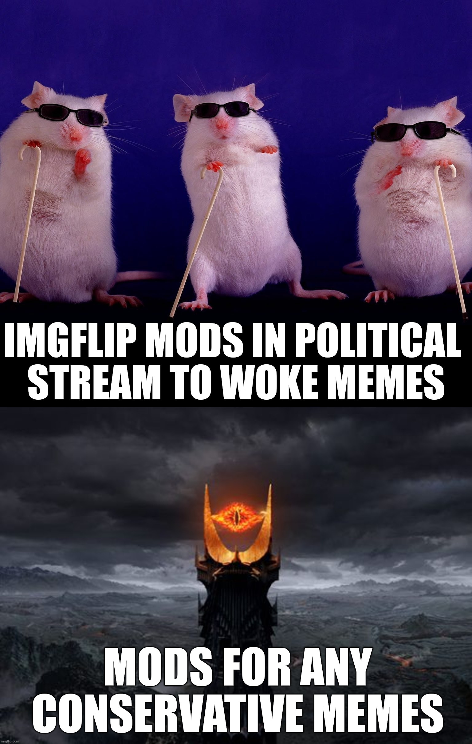 IMGFLIP MODS IN POLITICAL 
STREAM TO WOKE MEMES; MODS FOR ANY CONSERVATIVE MEMES | image tagged in eye of sauron | made w/ Imgflip meme maker