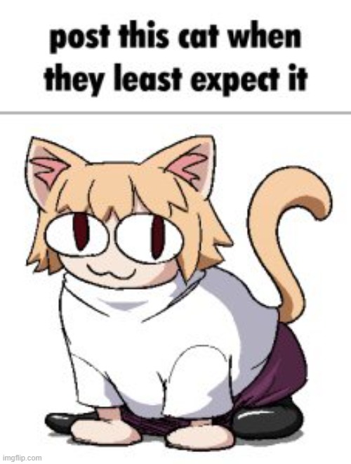 a | image tagged in post this cat when they least expect it | made w/ Imgflip meme maker