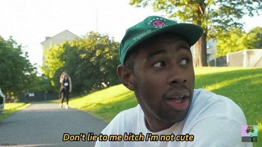 Tyler, the Creator don't lie to me bitch I'm not cute | image tagged in tyler the creator don't lie to me bitch i'm not cute | made w/ Imgflip meme maker