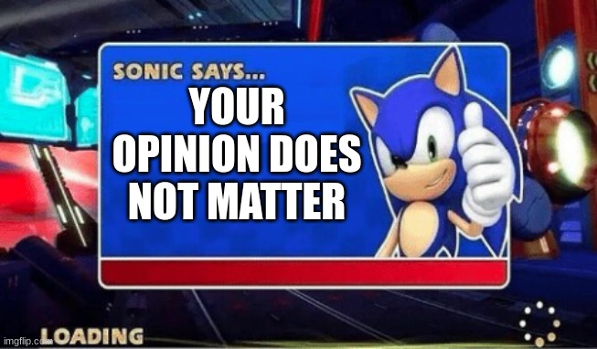 pov:everyone | YOUR OPINION DOES NOT MATTER | image tagged in sonic says | made w/ Imgflip meme maker