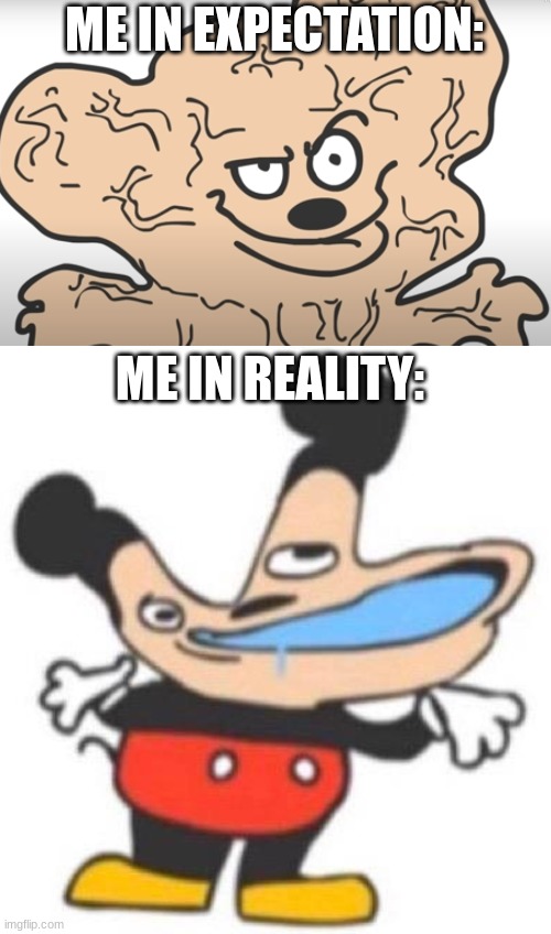 ... | ME IN EXPECTATION:; ME IN REALITY: | image tagged in smort,big brain mokey | made w/ Imgflip meme maker