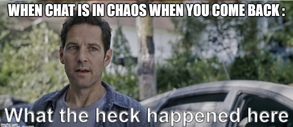 antman what the heck happened here | WHEN CHAT IS IN CHAOS WHEN YOU COME BACK : | image tagged in antman what the heck happened here | made w/ Imgflip meme maker