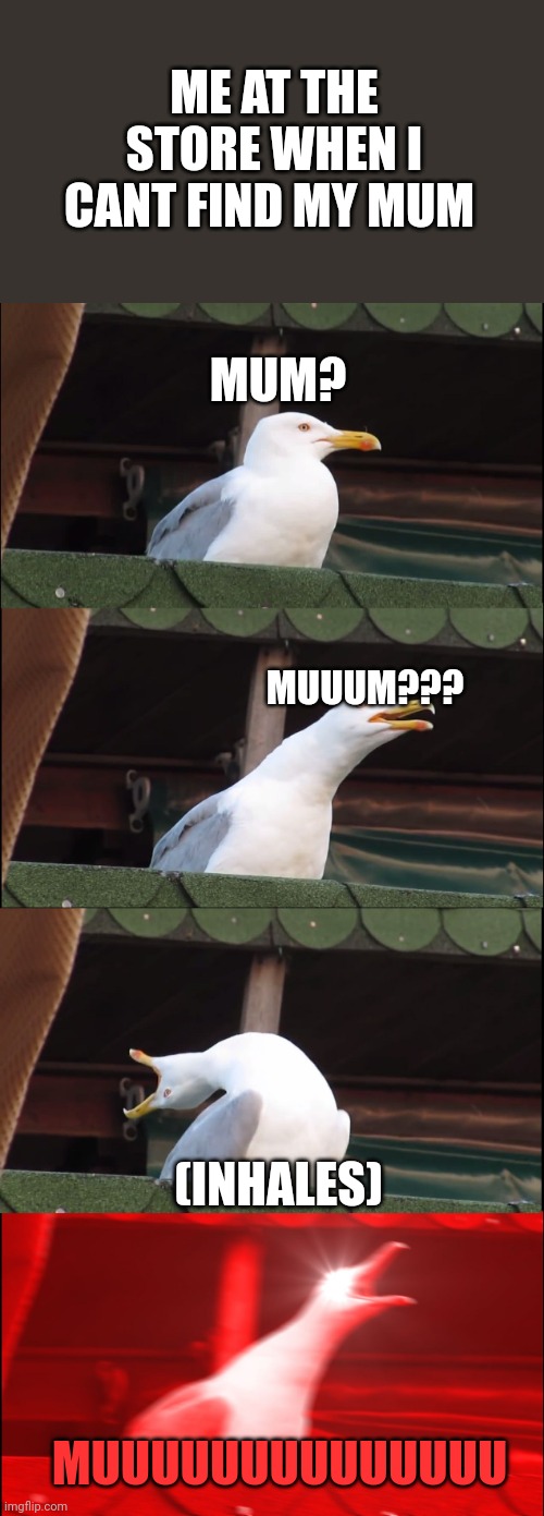 Inhaling Seagull Meme | ME AT THE STORE WHEN I CANT FIND MY MUM MUM? MUUUM??? (INHALES) MUUUUUUUUUUUUUU | image tagged in memes,inhaling seagull | made w/ Imgflip meme maker