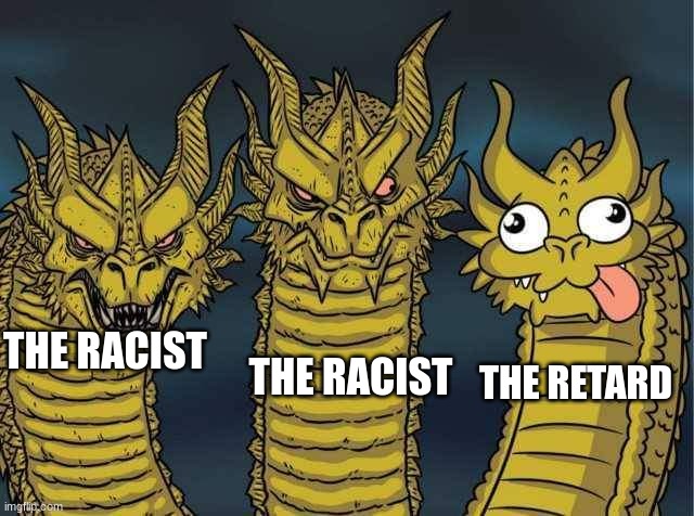 Hydra | THE RACIST THE RACIST THE RETARD | image tagged in hydra | made w/ Imgflip meme maker