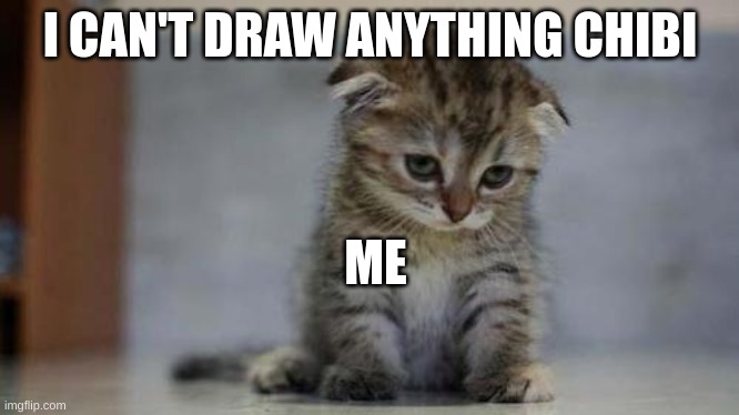 My drawing skills | I CAN'T DRAW ANYTHING CHIBI; ME | image tagged in sad kitten,kiwi | made w/ Imgflip meme maker