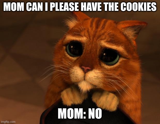 puss in boots eyes | MOM CAN I PLEASE HAVE THE COOKIES; MOM: NO | image tagged in puss in boots eyes | made w/ Imgflip meme maker