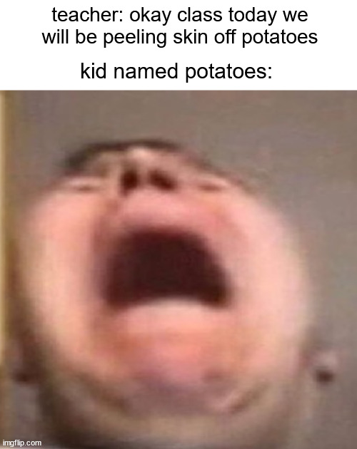 owie ouch ouchie | teacher: okay class today we will be peeling skin off potatoes; kid named potatoes: | image tagged in nikocado scream,ow,potatoes,kid named | made w/ Imgflip meme maker