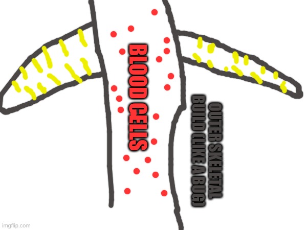 upper torso of the stickman (the yellow lines are the nerves throughout its arms | BLOOD CELLS; OUTER SKELETAL BUILD (LIKE A BUG) | made w/ Imgflip meme maker