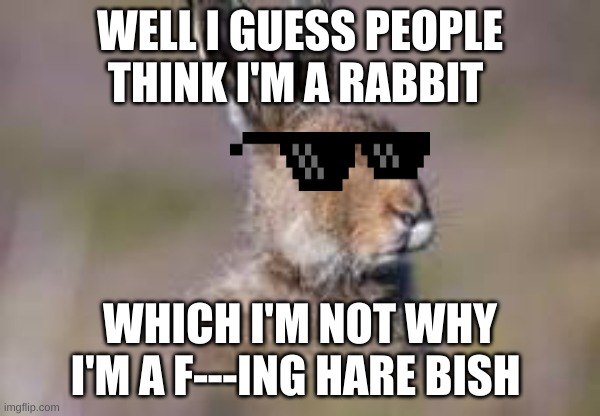 Why I'm A JackRabbit/ Hare not an actual rabbit mother f--cka | WELL I GUESS PEOPLE THINK I'M A RABBIT; WHICH I'M NOT WHY I'M A F---ING HARE BISH | image tagged in memes,animals,cool | made w/ Imgflip meme maker