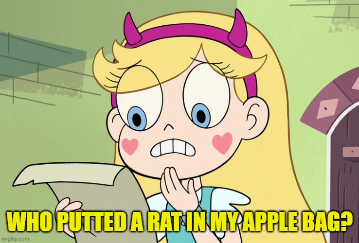 Star Butterfly "WTF Did i just read" | WHO PUTTED A RAT IN MY APPLE BAG? | image tagged in star butterfly wtf did i just read | made w/ Imgflip meme maker