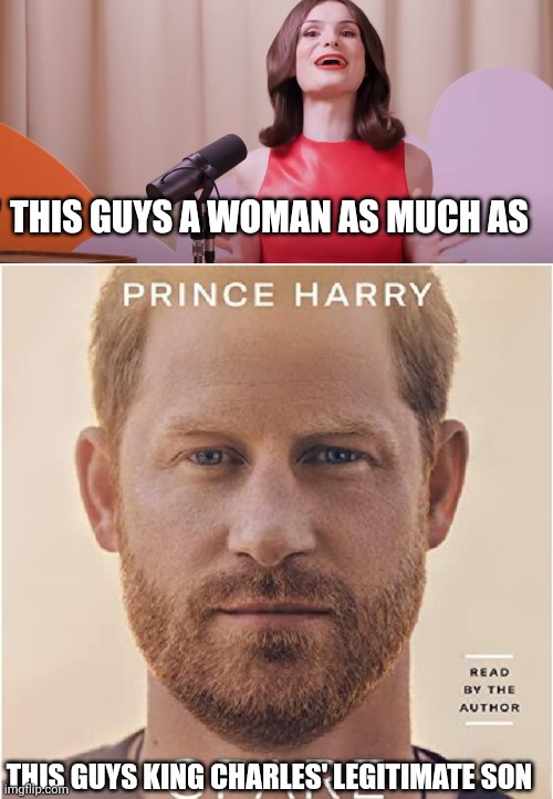 Just a couple of fellas | THIS GUYS A WOMAN AS MUCH AS; THIS GUYS KING CHARLES' LEGITIMATE SON | image tagged in dylan mulvaney,prince harry spare | made w/ Imgflip meme maker