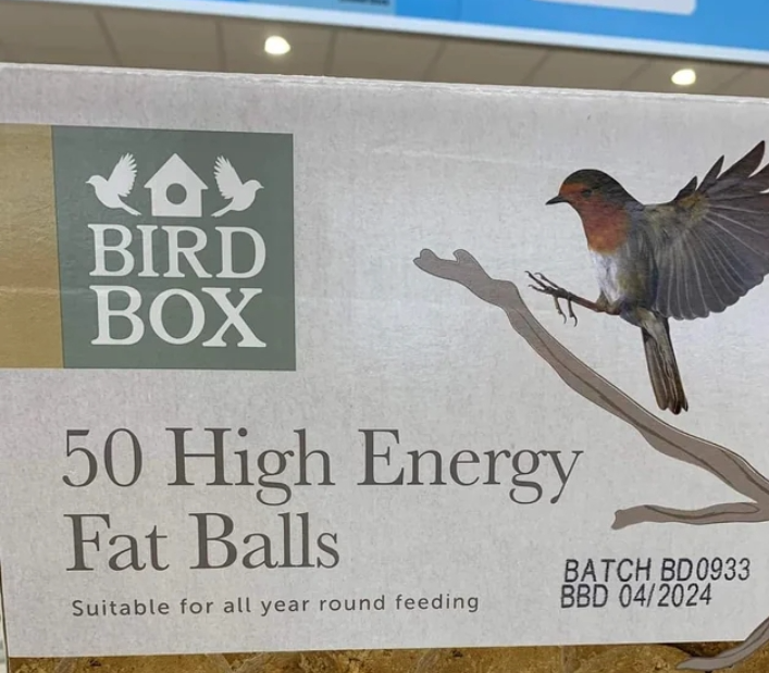 High Quality High energy fat balls Blank Meme Template