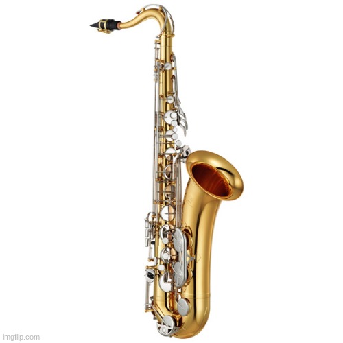 Saxophone | image tagged in saxophone | made w/ Imgflip meme maker