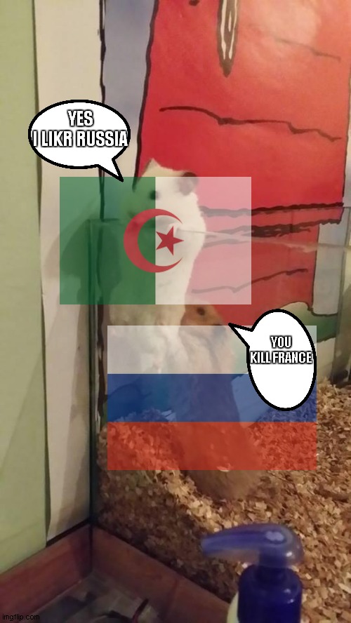 escape algeria in (russia help algeria) escape algeria = kill france | YES
I LIKR RUSSIA; YOU KILL FRANCE | image tagged in escape hamsters | made w/ Imgflip meme maker