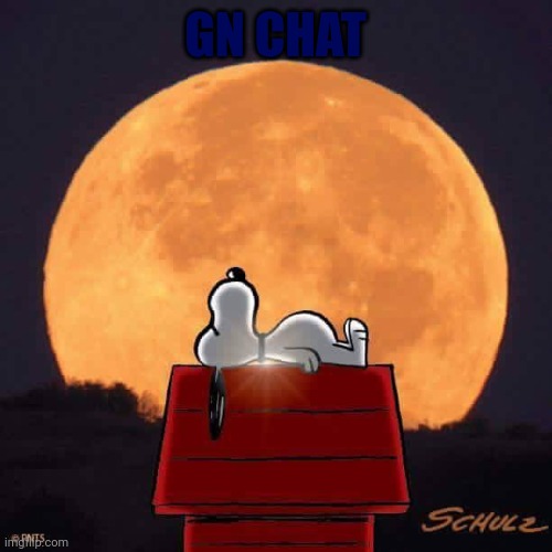 Snoopy | GN CHAT | image tagged in snoopy | made w/ Imgflip meme maker