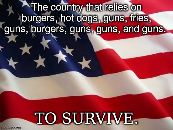 American flag | The country that relies on burgers, hot dogs, guns, fries, guns, burgers, guns, guns, and guns. TO SURVIVE. | image tagged in american flag | made w/ Imgflip meme maker