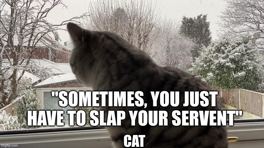 lol | "SOMETIMES, YOU JUST HAVE TO SLAP YOUR SERVENT"; CAT | image tagged in cat,quote of the day,inspirational quote | made w/ Imgflip meme maker