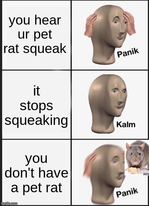 UH OH | you hear ur pet rat squeak; it stops squeaking; you don't have a pet rat | image tagged in memes,panik kalm panik,rats,uh oh | made w/ Imgflip meme maker