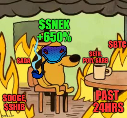 Its fine | $SNEK
+650%; $BTC; $ETH, POLY, $ARB; $ADA; PAST 
24HRS; $DOGE, $SHIB | image tagged in its fine | made w/ Imgflip meme maker