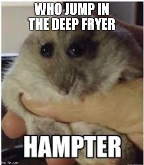 hampter | WHO JUMP IN THE DEEP FRYER | image tagged in hampter | made w/ Imgflip meme maker