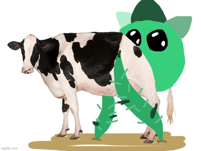 beef | made w/ Imgflip meme maker