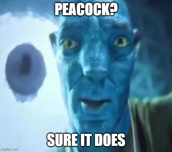 It does other things too | PEACOCK? SURE IT DOES | image tagged in avatar guy | made w/ Imgflip meme maker
