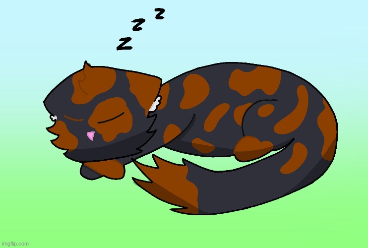 Sleeping tortoise-shell cat | image tagged in drawing,cats,original | made w/ Imgflip meme maker