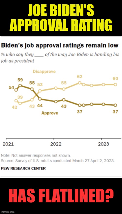Hey, Does Anybody Else Think | JOE BIDEN'S APPROVAL RATING; HAS FLATLINED? | image tagged in memes,politics,joe biden,approval,ratings,flatlined | made w/ Imgflip meme maker