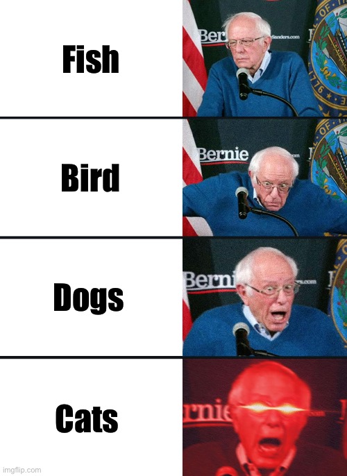 Bernie Sanders reaction (nuked) | Fish; Bird; Dogs; Cats | image tagged in bernie sanders reaction nuked | made w/ Imgflip meme maker