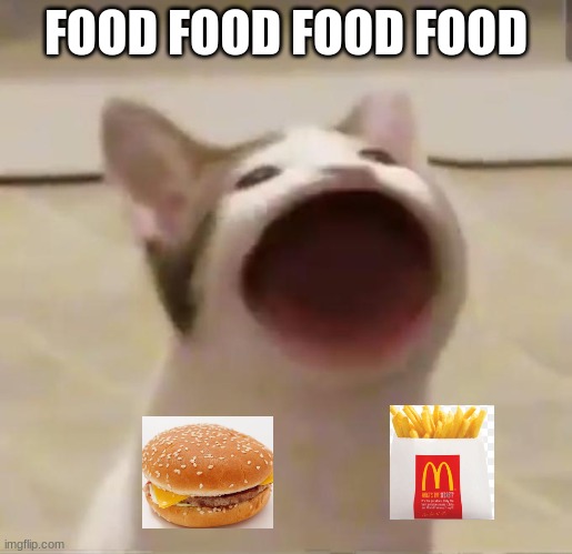 Pop Cat | FOOD FOOD FOOD FOOD | image tagged in pop cat | made w/ Imgflip meme maker
