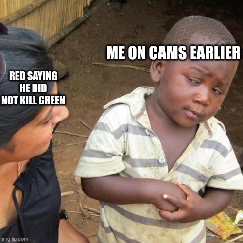 among us be like | ME ON CAMS EARLIER; RED SAYING HE DID NOT KILL GREEN | image tagged in memes,third world skeptical kid | made w/ Imgflip meme maker