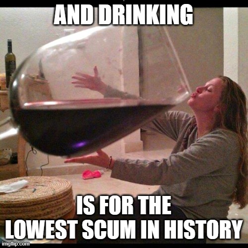 Wine Drinker | AND DRINKING IS FOR THE LOWEST SCUM IN HISTORY | image tagged in wine drinker | made w/ Imgflip meme maker