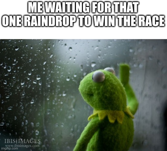 kermit window | ME WAITING FOR THAT ONE RAINDROP TO WIN THE RACE | image tagged in kermit window,rain,little kid | made w/ Imgflip meme maker
