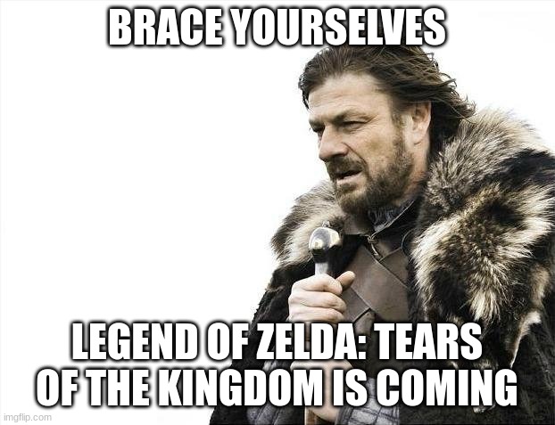 yessss | BRACE YOURSELVES; LEGEND OF ZELDA: TEARS OF THE KINGDOM IS COMING | image tagged in memes,brace yourselves x is coming | made w/ Imgflip meme maker