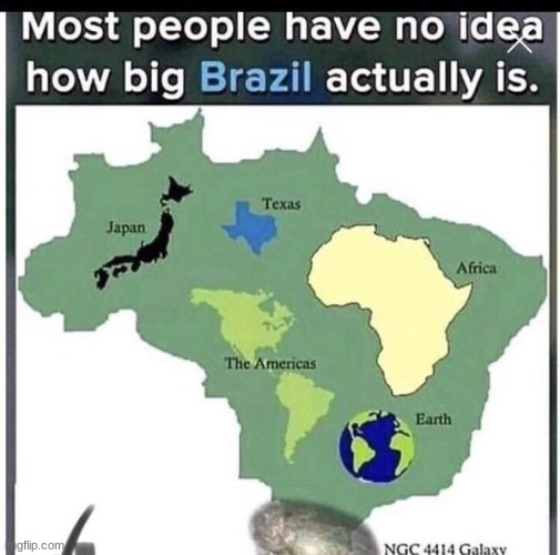 misinformation hahaha | image tagged in memes,funny,you're going to brazil | made w/ Imgflip meme maker