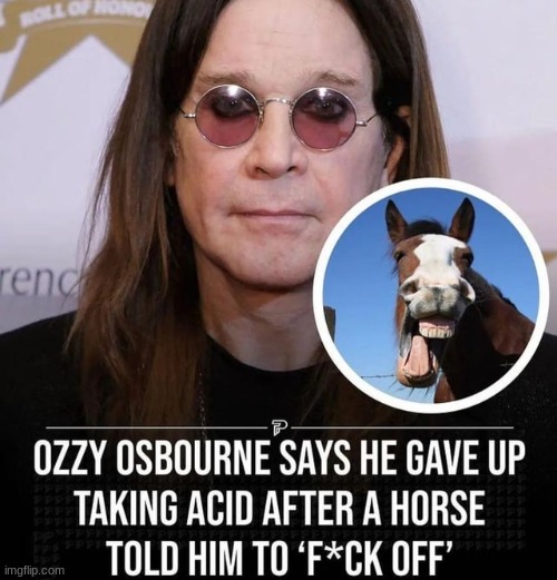 Just one of them days | image tagged in ozzy osbourne,rock,memes,funny | made w/ Imgflip meme maker
