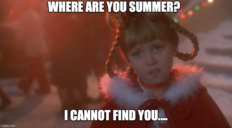 Sad Cindy Lou Who | WHERE ARE YOU SUMMER? I CANNOT FIND YOU.... | image tagged in sad cindy lou who | made w/ Imgflip meme maker