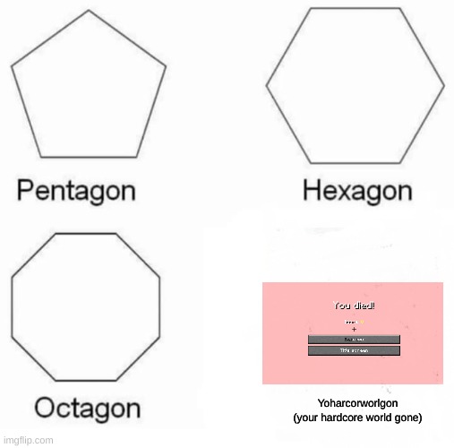 Minecraft gamer moments #1 | Yoharcorworlgon
(your hardcore world gone) | image tagged in memes,pentagon hexagon octagon | made w/ Imgflip meme maker