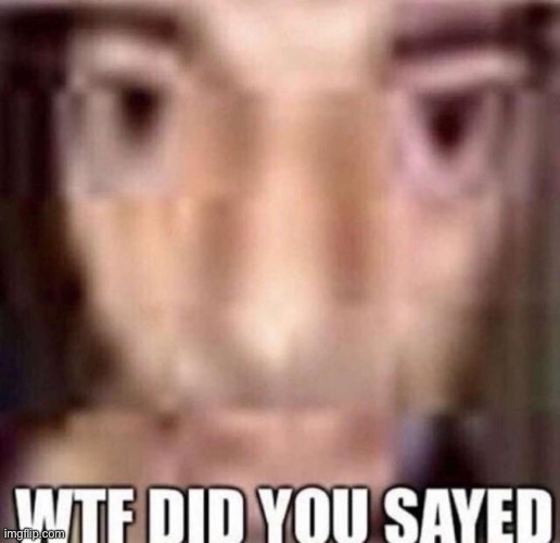 Wtf did you sayed | image tagged in wtf did you sayed | made w/ Imgflip meme maker