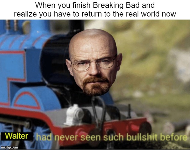 Noooo | When you finish Breaking Bad and realize you have to return to the real world now | image tagged in walter has never seen such bullshit before | made w/ Imgflip meme maker