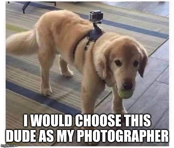 Camera dog | I WOULD CHOOSE THIS DUDE AS MY PHOTOGRAPHER | image tagged in camera dog | made w/ Imgflip meme maker