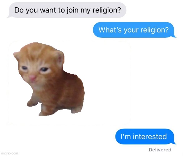 el gato | image tagged in whats your religion | made w/ Imgflip meme maker