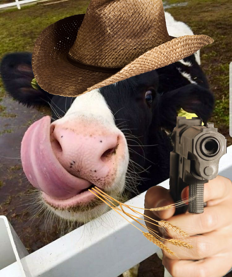 Funny cow with gun Blank Meme Template