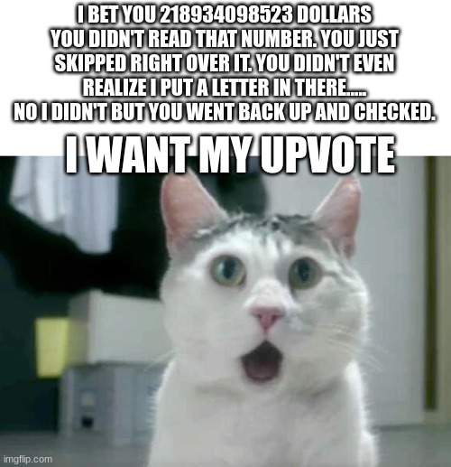 I got you didn't I? | I BET YOU 218934098523 DOLLARS YOU DIDN'T READ THAT NUMBER. YOU JUST SKIPPED RIGHT OVER IT. YOU DIDN'T EVEN REALIZE I PUT A LETTER IN THERE..... NO I DIDN'T BUT YOU WENT BACK UP AND CHECKED. I WANT MY UPVOTE | image tagged in memes,omg cat,lol,funny,gifs,haha | made w/ Imgflip meme maker