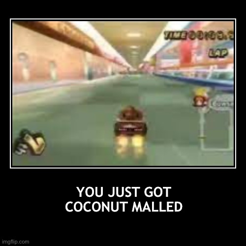 image tagged in you just got coconut malled,coconut mall,coconut mall furries | made w/ Imgflip demotivational maker