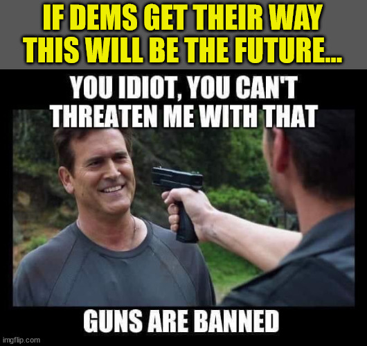 IF DEMS GET THEIR WAY THIS WILL BE THE FUTURE... | made w/ Imgflip meme maker