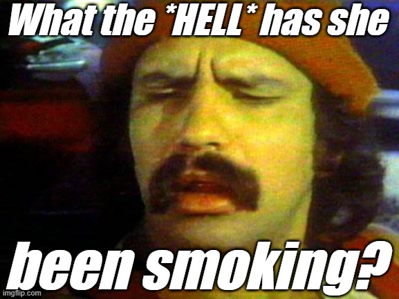 cheech | What the *HELL* has she been smoking? | image tagged in cheech | made w/ Imgflip meme maker